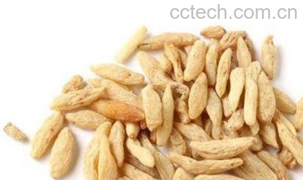 麦冬与什么泡水喝最好 麦冬泡水喝的功效-1