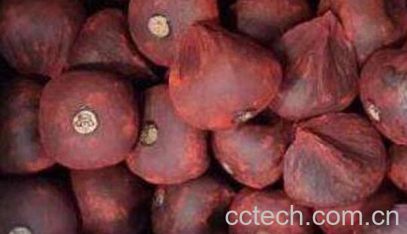 血竭粉的功效与作用-1