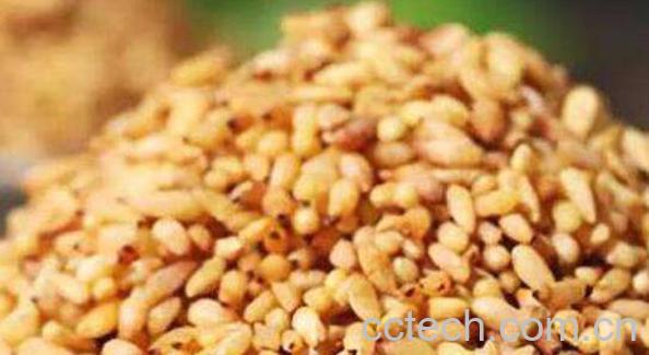 柏子仁与松子仁的区别-0