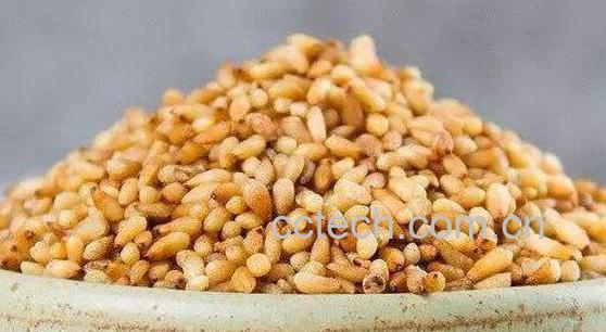 柏子仁与松子仁的区别-1