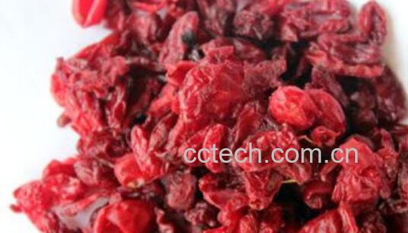 山萸肉如何泡水 山萸肉泡水喝的功效-0