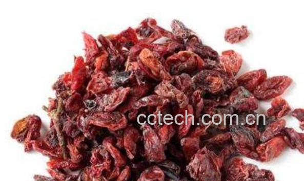 山萸肉如何泡水 山萸肉泡水喝的功效-1