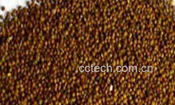 制菟丝子的功效和作用-1