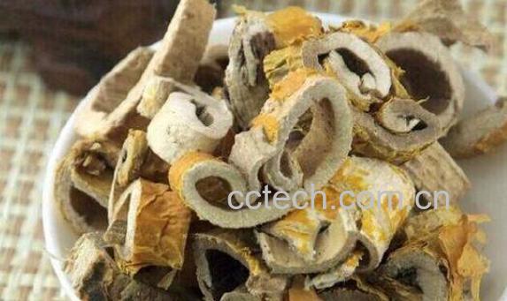 老桑树根的功效与作用-1