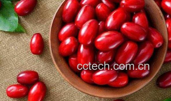 山茱萸可以直接吃吗 山茱萸的正确食用方法-0