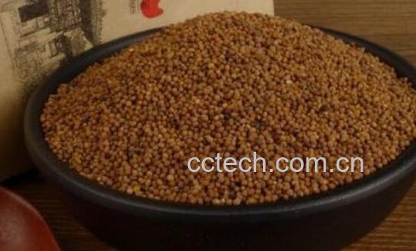 菟丝子泡水喝的功效 菟丝子泡水喝的副作用-1