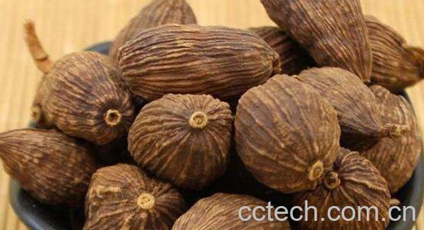 草果仁的功效与作用 草果仁的副作用-0