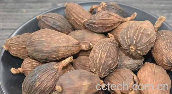 草果仁的功效与作用 草果仁的副作用-1