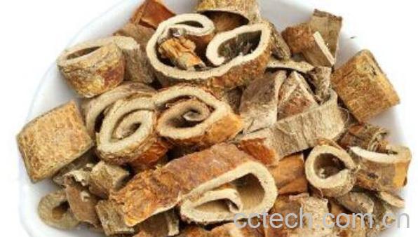 桑树根泡酒的功效与作用-1