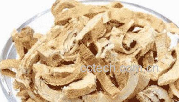 桑树根皮的功效与作用及食用方法-1