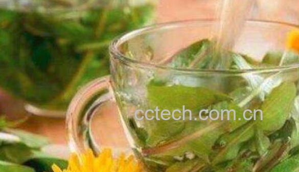 婆婆丁泡水喝的功效与作用-1