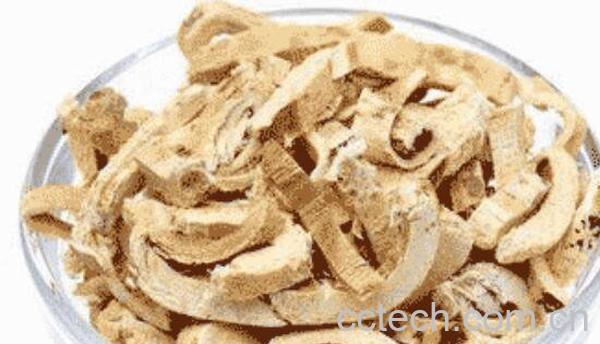 桑树根皮的功效与作用及药用价值-1