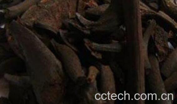 贯众炭的功效与作用-0