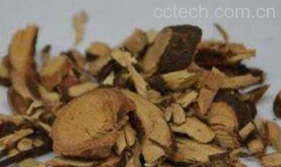 黑骨头的功效和作用-0