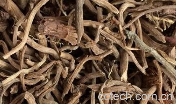 黑骨头的功效和作用-1