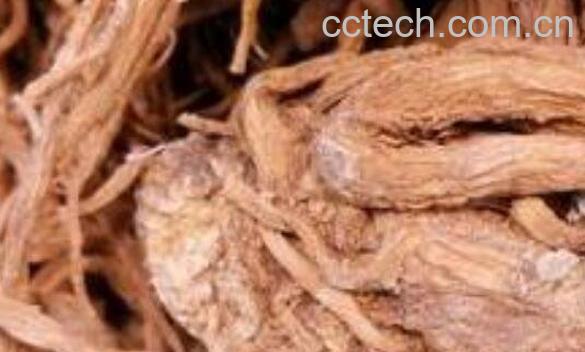 马桑根的药用价值与功效作用-0