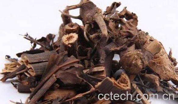 肿节风的功效与作用及药用价值-1