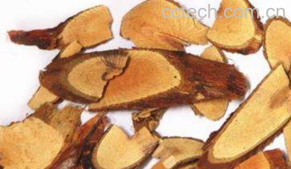 金樱根的功效与作用-0