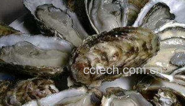 鹿血牡蛎片功效与作用	-1