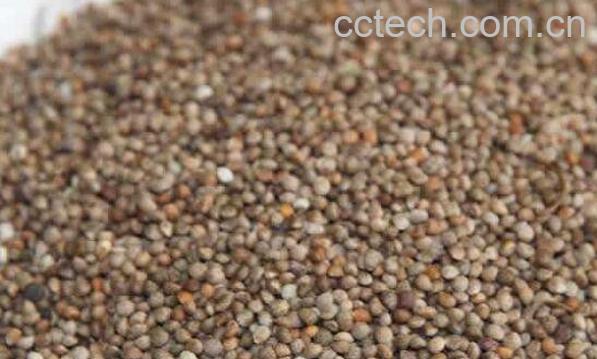 苏子籽的食用方法 吃苏子籽的禁忌-1