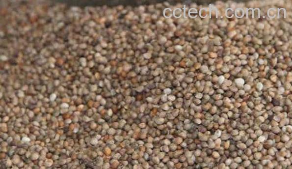 苏麻籽怎么吃 苏麻籽的功效与作用-1