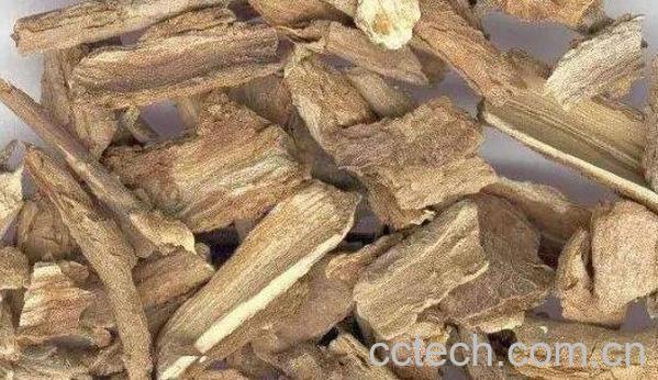 腊梅根毒性怎么处理 腊梅根可以泡水喝吗-0