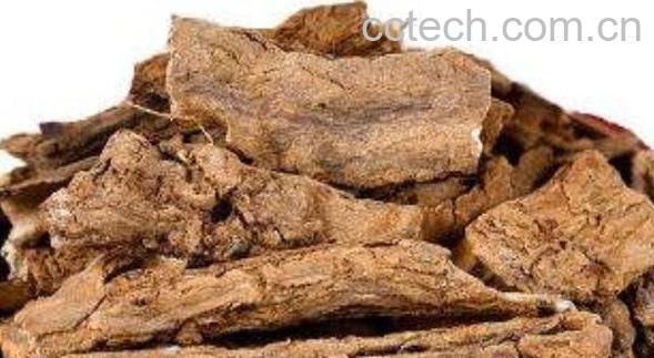 腊梅根毒性怎么处理 腊梅根可以泡水喝吗-1