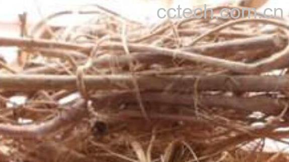 腊梅根如何泡酒 腊梅根泡酒的功效与作用-1