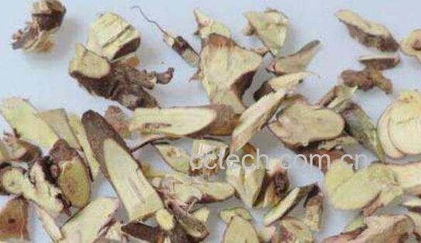 腊梅根如何泡酒 腊梅根泡酒的功效与作用-0