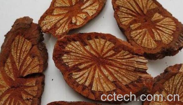 血木通的功效与作用 血木通的副作用-0