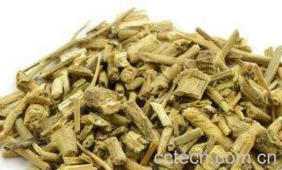 排风藤的功效与作用及副作用-0