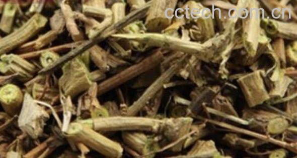 排风藤怎么吃 排风藤煮水喝的功效-1