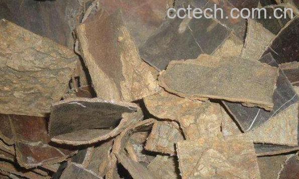 盐杜仲的功效与作用及药用价值-1