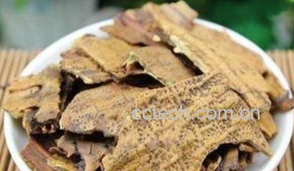 醋鳖甲的功效与作用-0