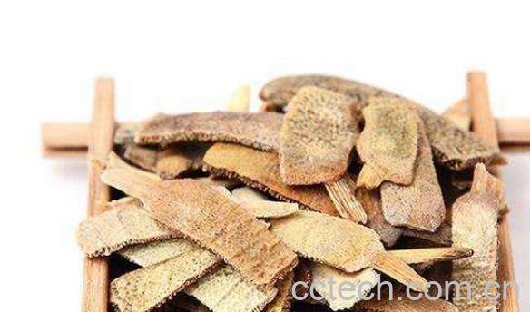 醋鳖甲的功效与作用-1