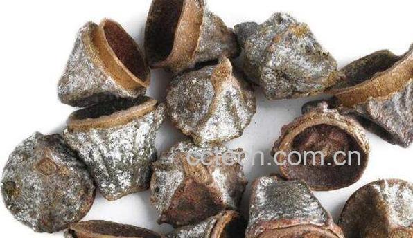 一口钟的功效与作用 一口钟的药用价值-0