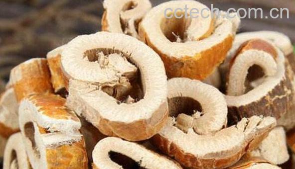 桑树根皮的功效与作用-0