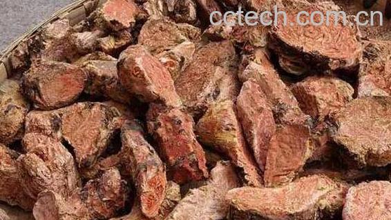 大红花景天的功效与作用-1