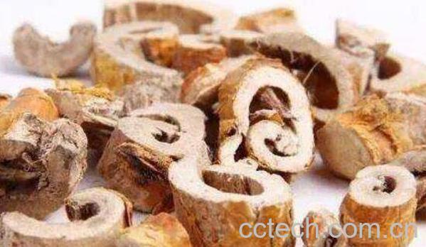 桑树根皮的功效与作用-1