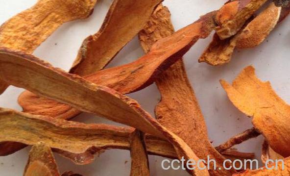 巴捱姜的功效和作用 巴捱姜的药用价值-0