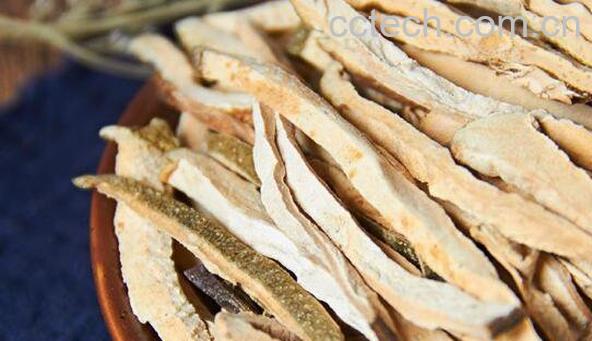 香橼皮和香橼的区别 香橼皮的功效与作用-1