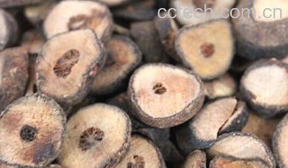 香橼怎么吃 香椽的食用方法-0