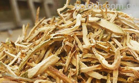 香橼皮的功效与作用 香橼皮的药用价值-0