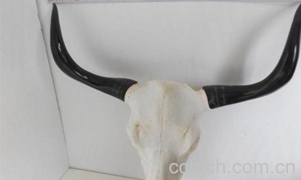 牦牛角-1