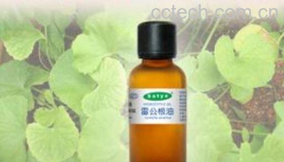 雷公根油的功效与作用 雷公根油的副作用-0