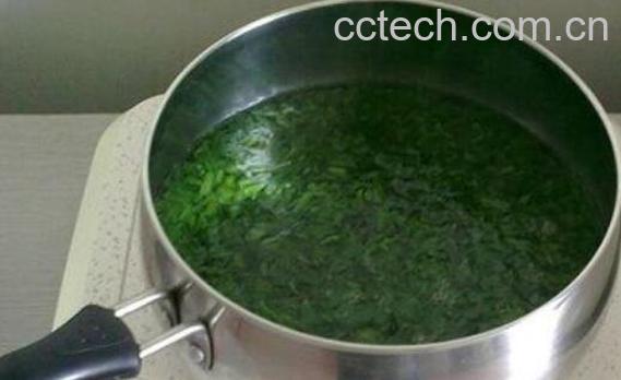 艾叶煮水喝有什么功效-1