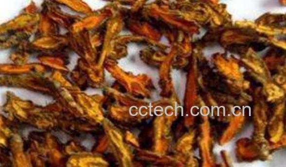 黄连软膏的功效与作用-0