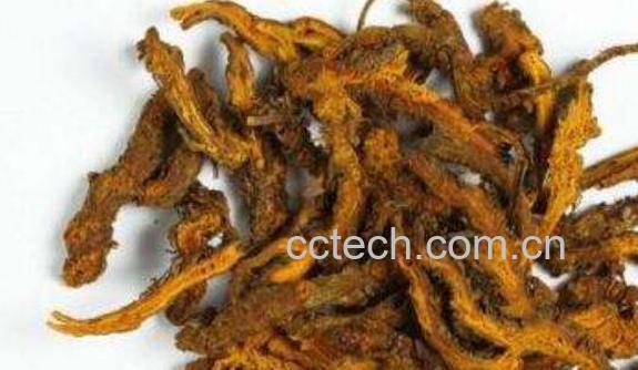 黄连软膏的功效与作用-1