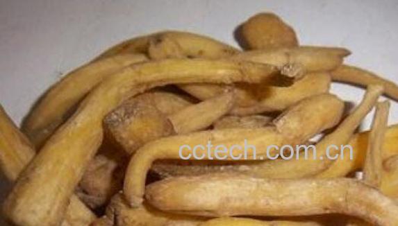 峨参泡酒的功效与作用 喝峨参泡酒的好处-0