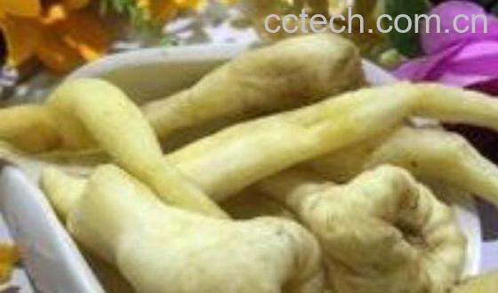 峨参泡酒的功效与作用 喝峨参泡酒的好处-1